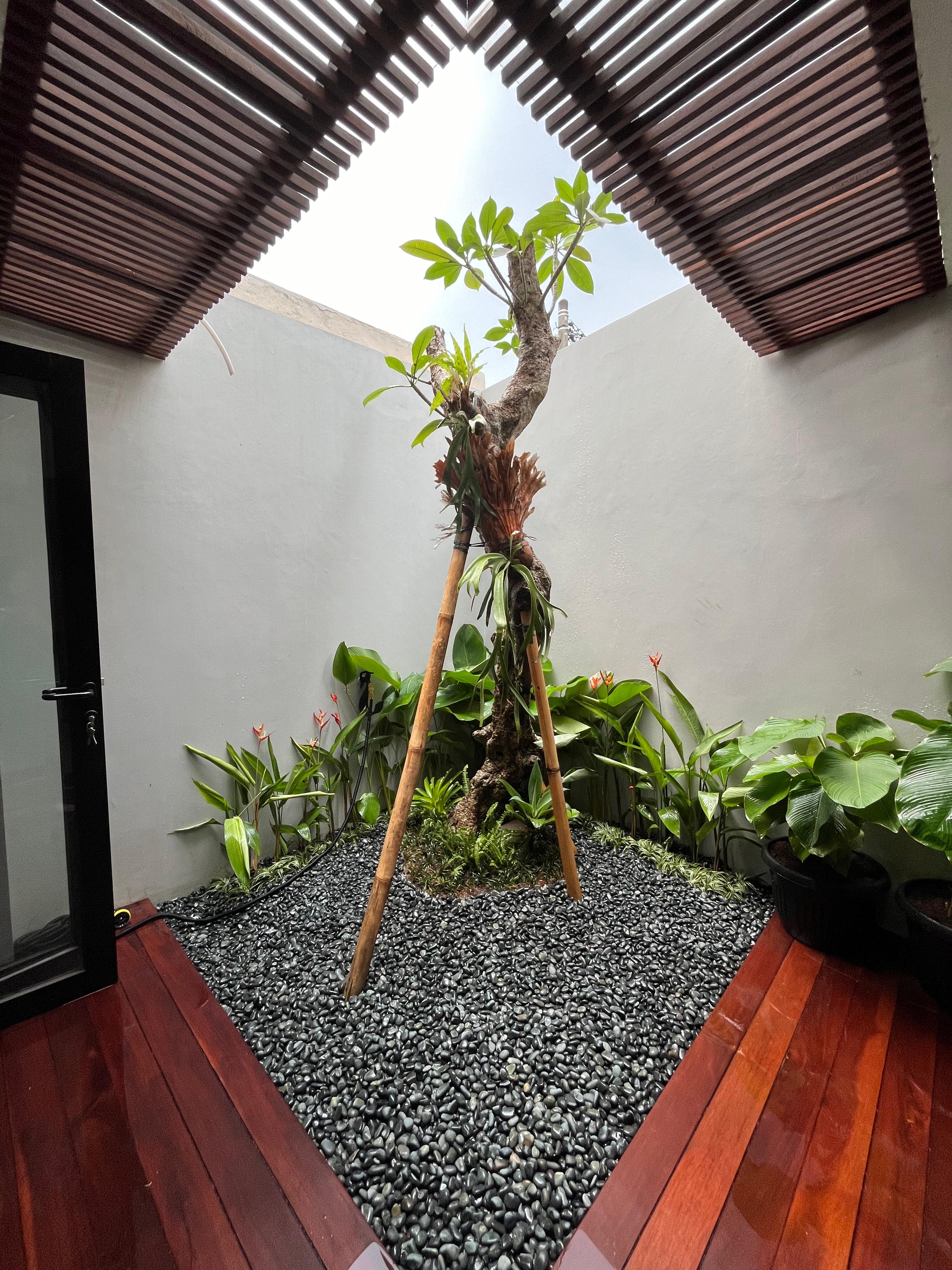 desain taman