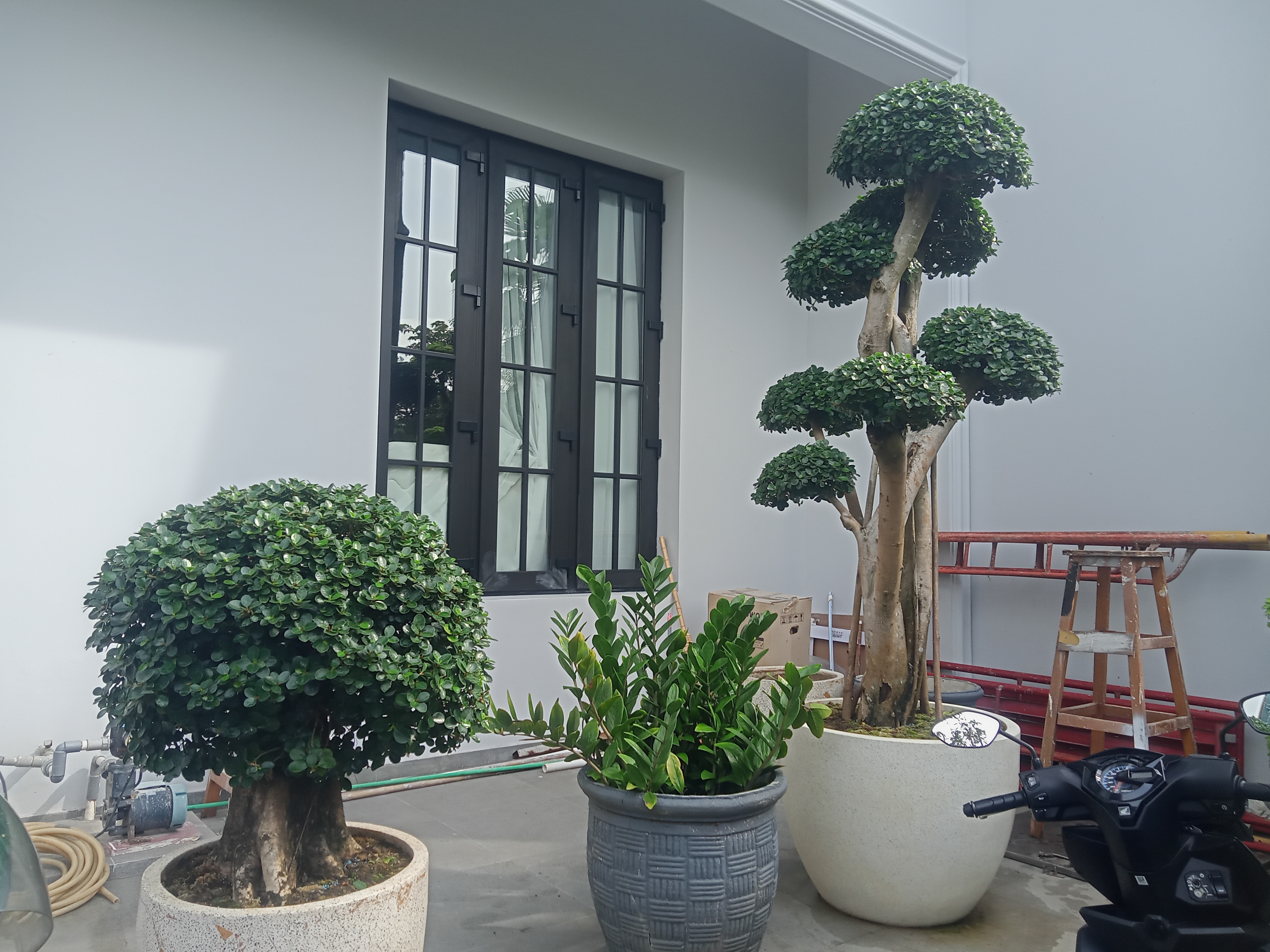 desain taman